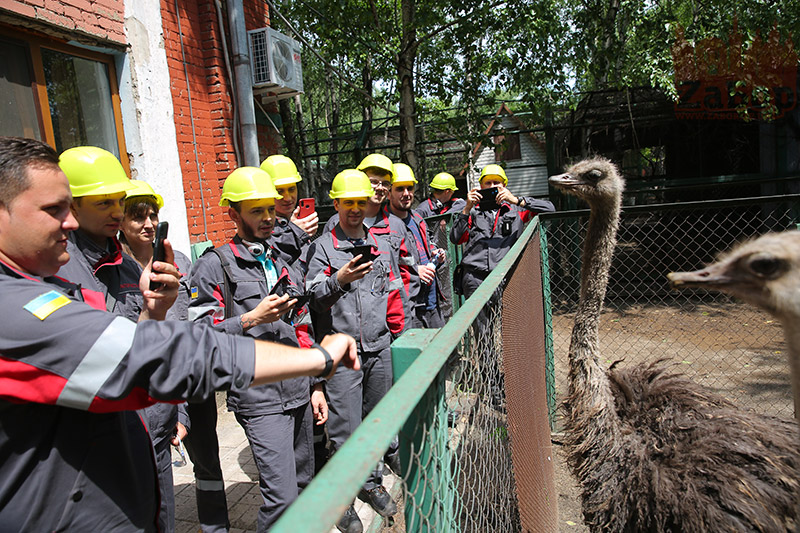 ������������. ����� ������