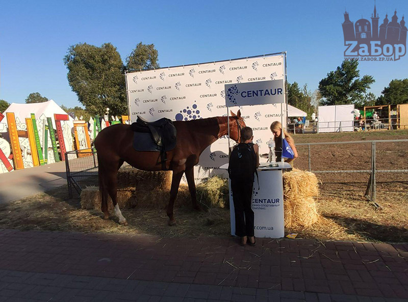 ������ �� ��������� ��� � ���������