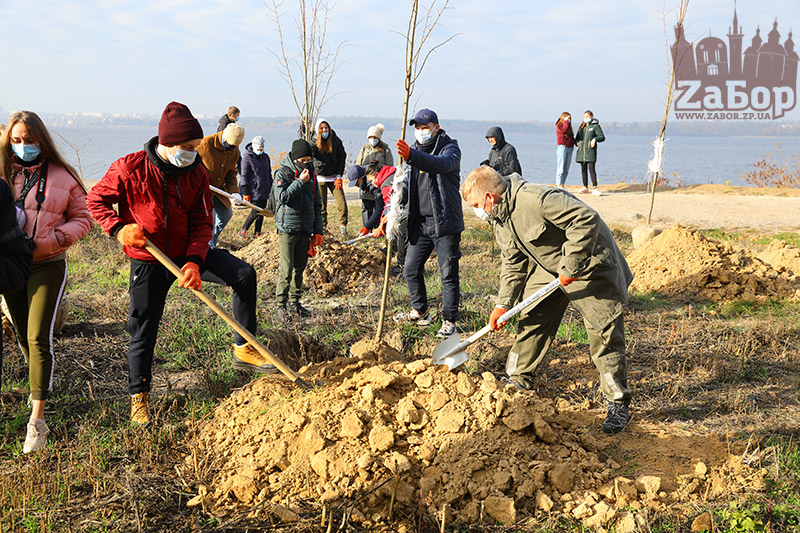 � ��������� �� ������� � ������� �������� 600 ��������