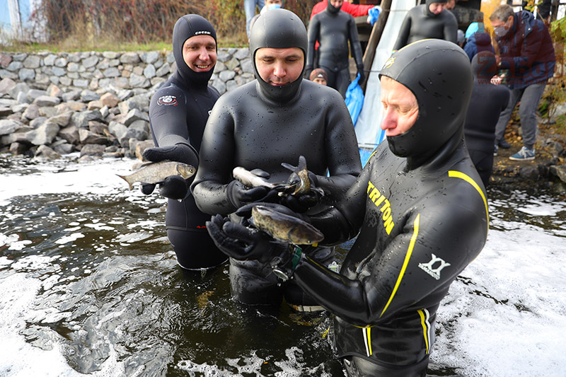 � ��������� ������ ����� ������ ����� ������!