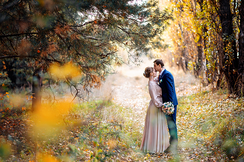 ��������� ����� - ��������� ���� � ���������