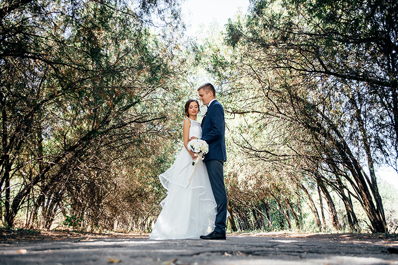 ��������� ����� - ��������� ���� � ���������