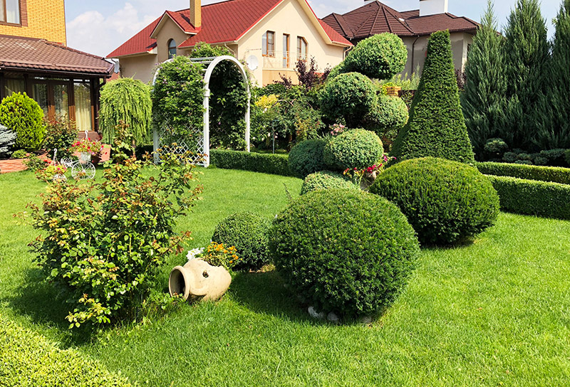 "Green-Art" - "����-���" (����������� ������)