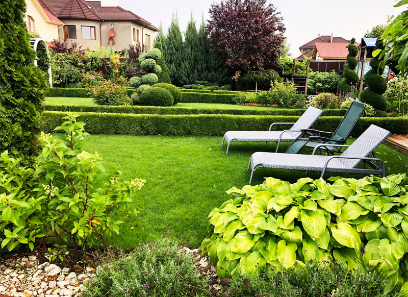 "Green-Art" - "����-���" (����������� ������)