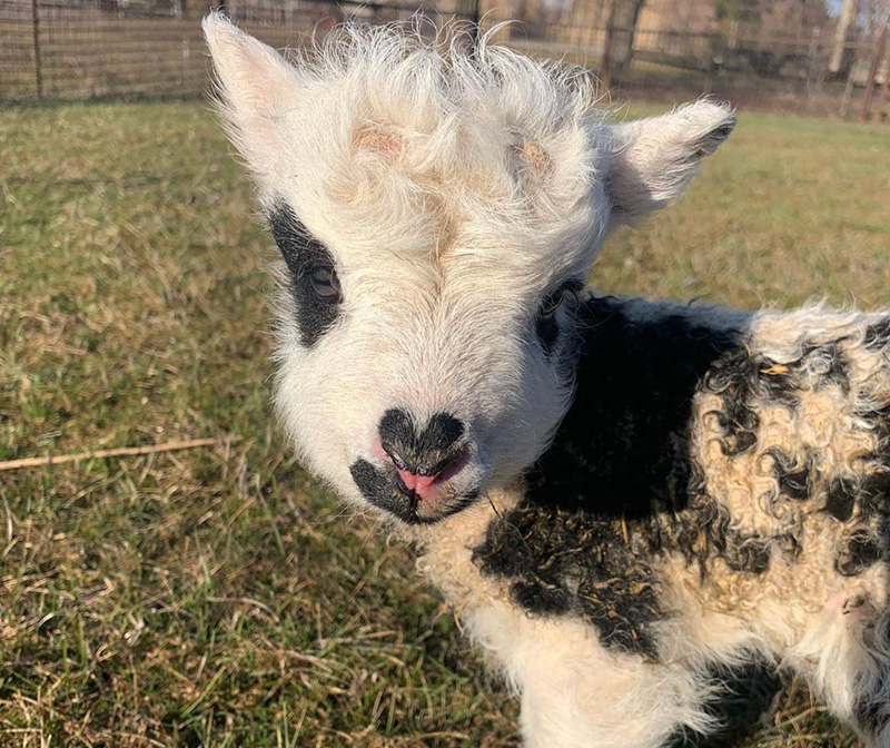 ������������� ������� � �������������� ��������