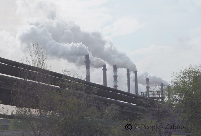 ������ ���������