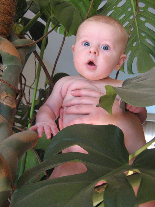 ������� ���������. 3 ������