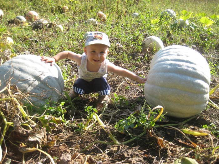 ������ �����������. 1 ��� � 10 ���.