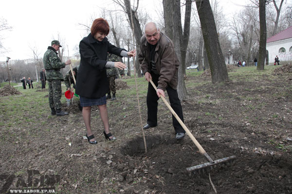 ��������� � ������� ���� (���������)