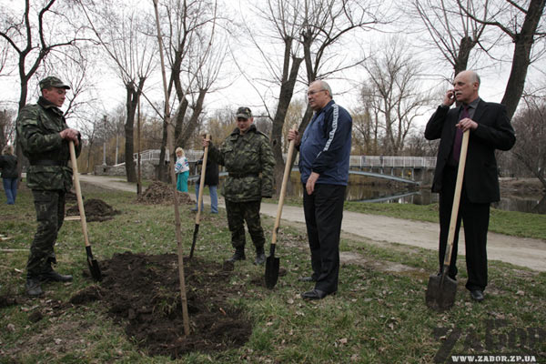 ��� ��������� �������� �� ���������� � ������� ����