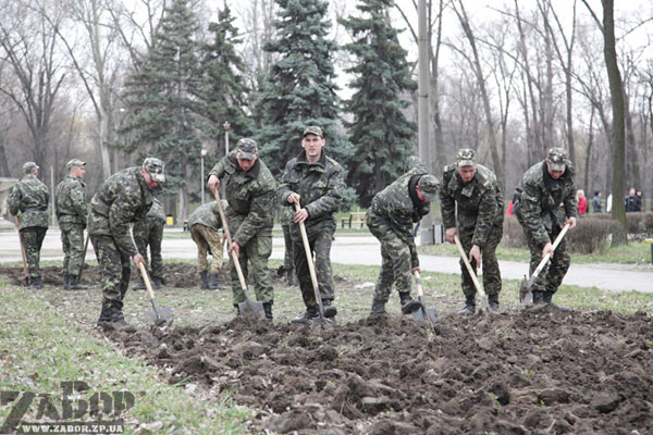 ������� ������ �� ���������� � ������� ���� (���������)