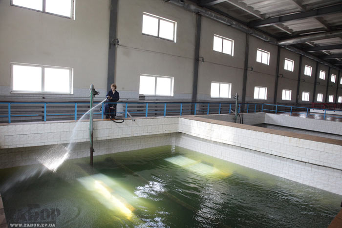 ����������� ������������� ������� �1 (���������)