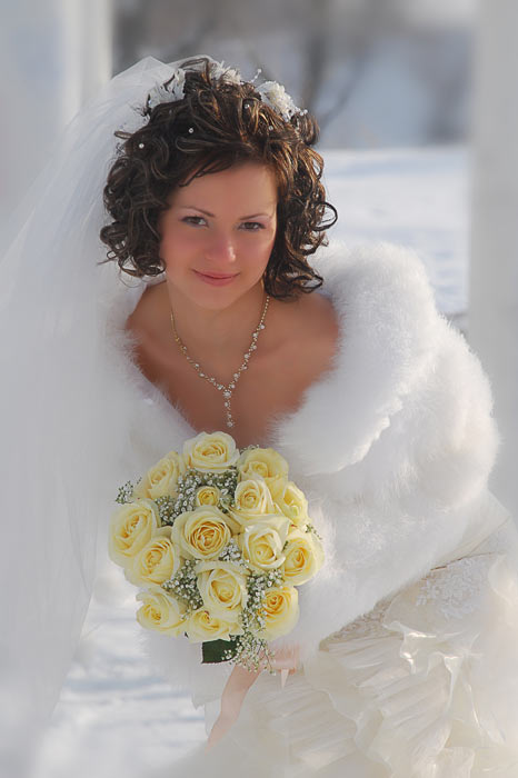 ���� �����������