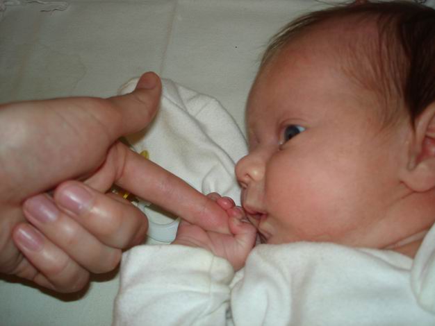 ������� ��������. 1 �����