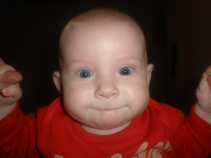 ��������. 6 �������