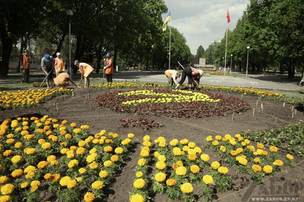 �������� ��������� � 9 ��� (���������)