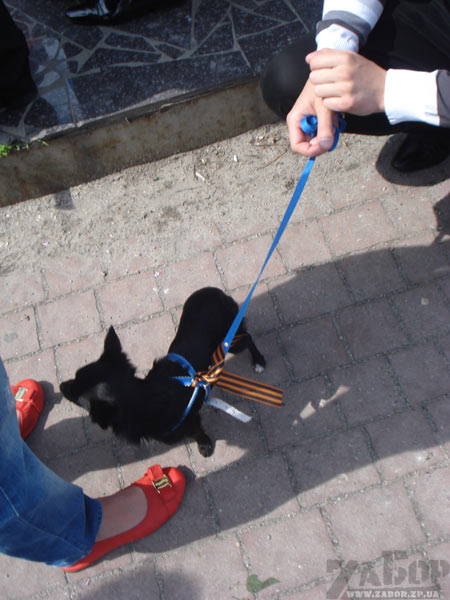 ���� ������ �� ������� ������������ �������� (���������)