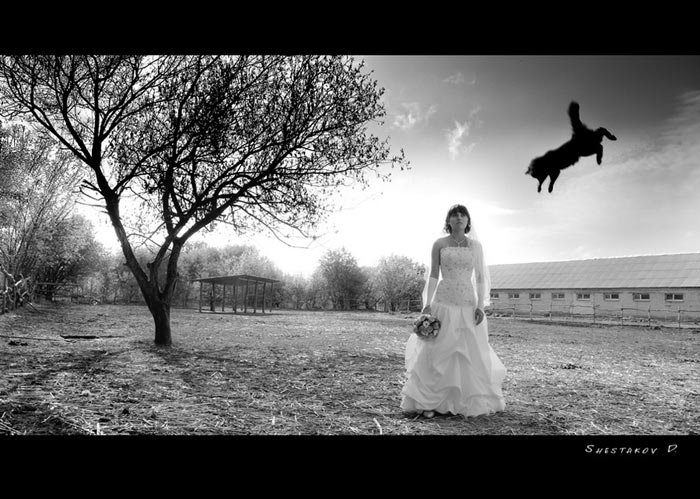 �������