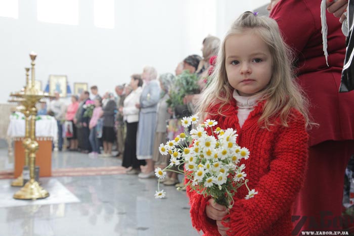 �������� ������ ������ � ���������