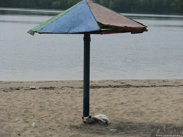 ������� ����� (���������� ����, ���������)