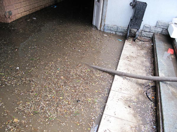 �������� ��������� ������� �����  ���������� ������� (���������)