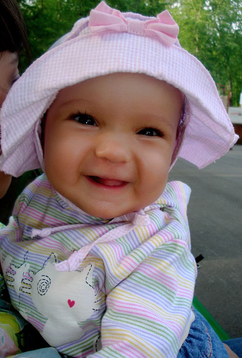 ��� ���������. 6 �������