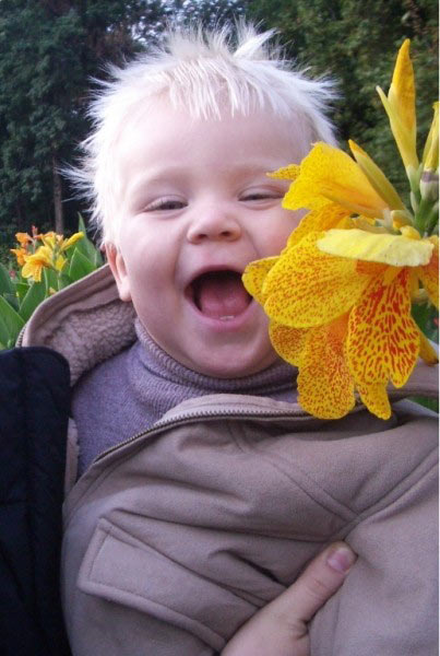 ��������� ���������