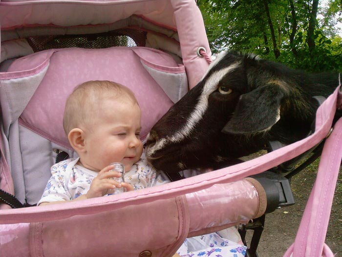 ������� ��������. 1 ����� � 7 �������