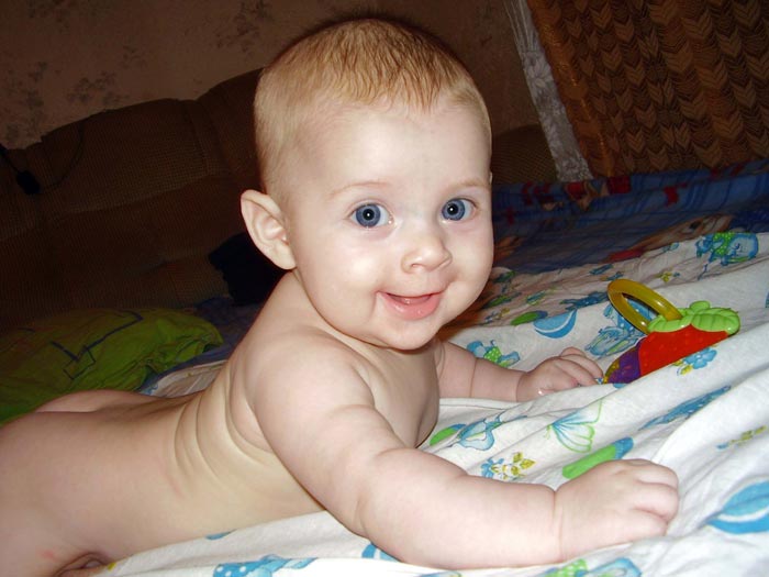 ����� ���������. 6 �������