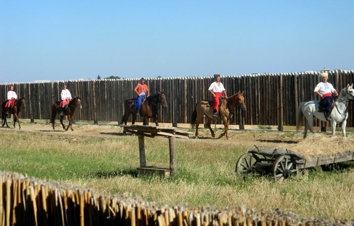 ������������ ����