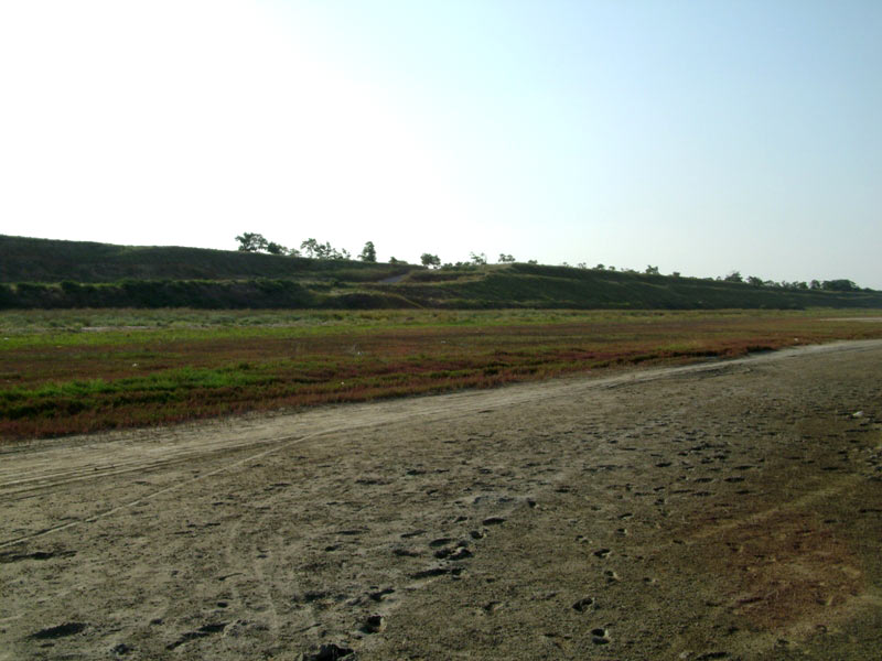 ����� (��������) ��������� ������