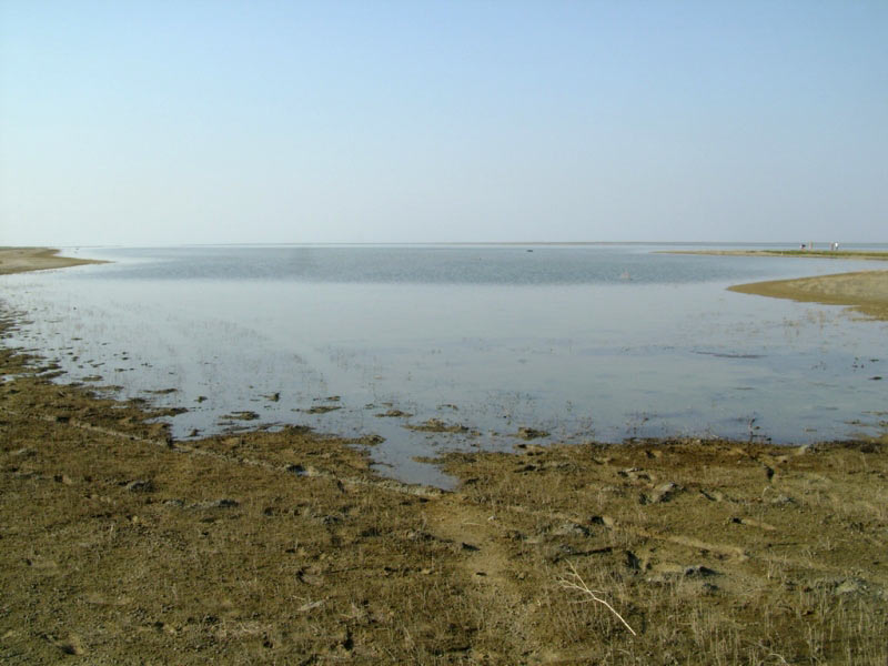 �������� �����, ���� ��������