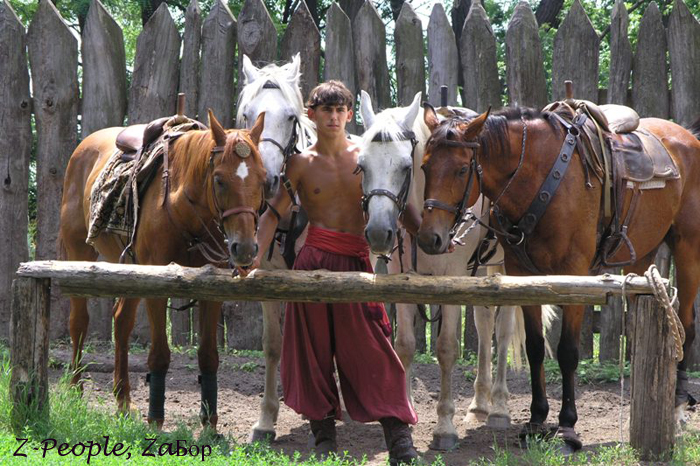 ������ �����