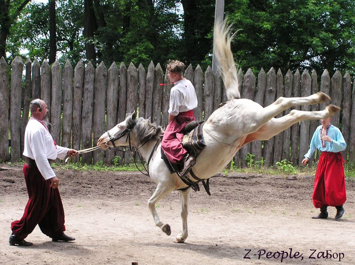 ������ �����