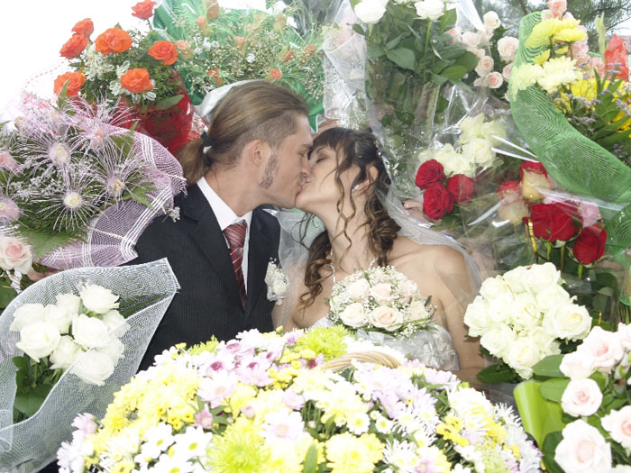 ������� � ���� ����������