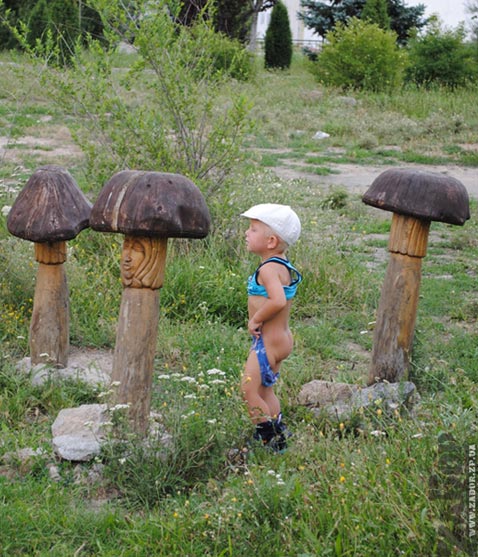 ������� ������ "������ ����" � ���� �������