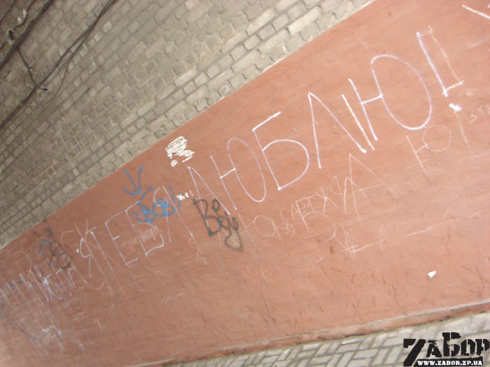 � ���� �����