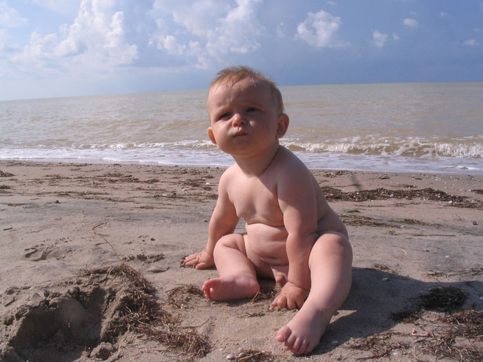 ������� ���������