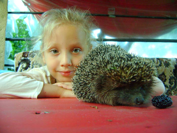 ���� �����������