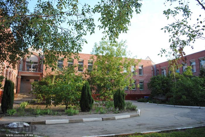 "������� ������", ������� ��� � 295 (���������)