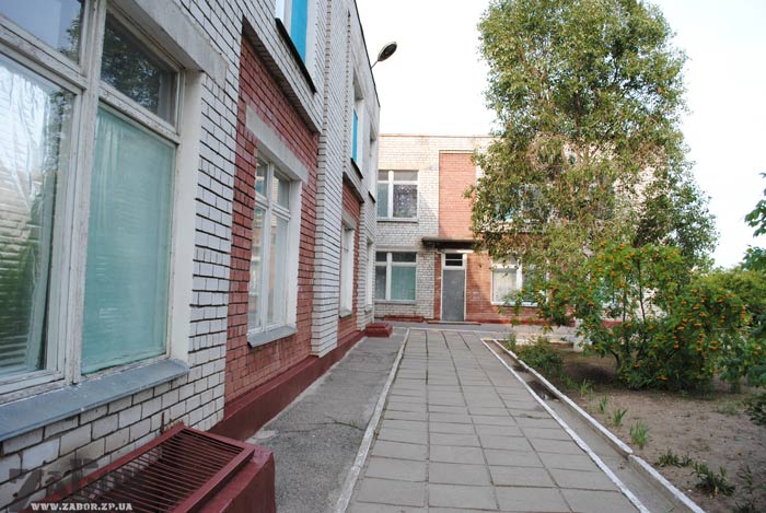 "�������", ������� ��� � 290