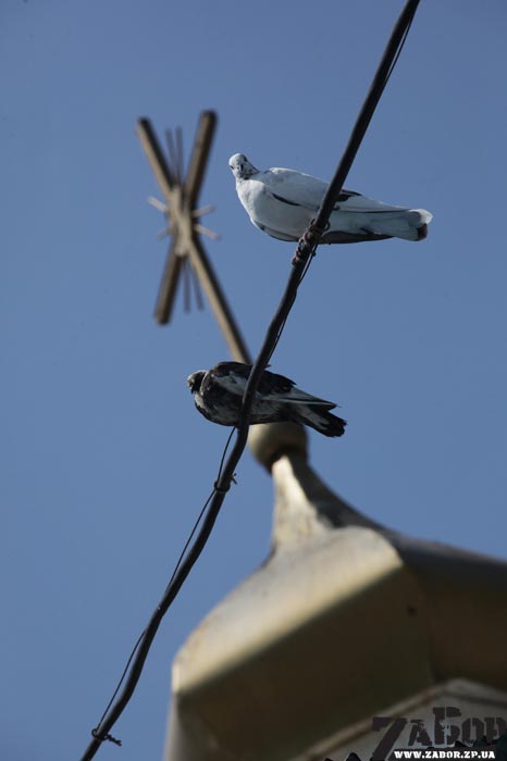 ������ ���� �� ������������ ����� ������ � ���������