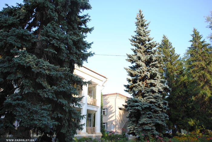 ���������-������������� ��� � ���������