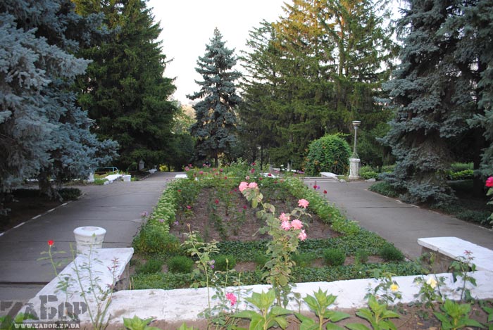 ���� �� ������� ������� (���������)