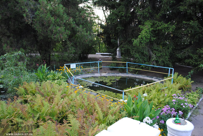 ���� �� ������� ������� (���������)