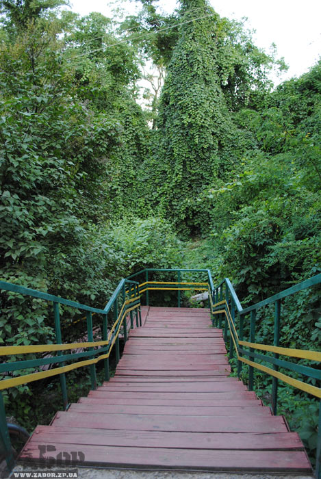 ���� �� ������� ������� (���������)