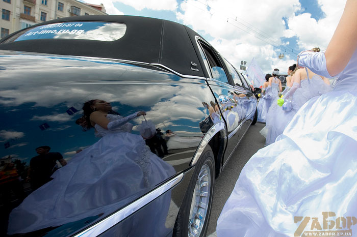 ������� � ��������. ������ ��������� (����� ������-2009 � ���������)