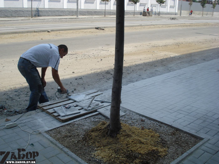 ������ ������ ����� ������������ �������������� ������ (���)