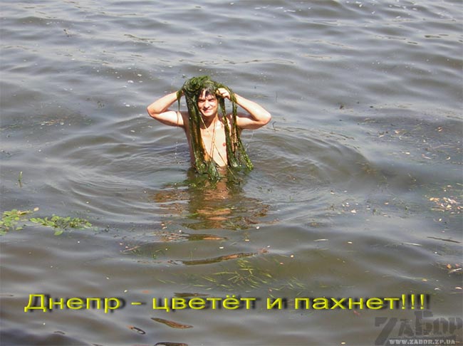 ����� - ������ � ������