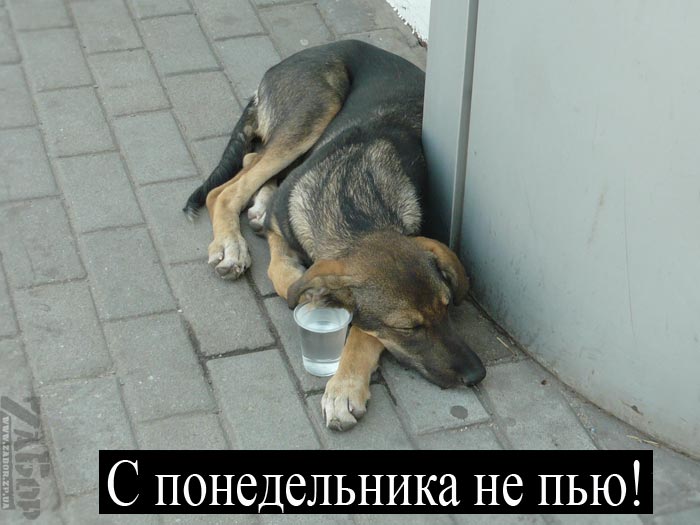 � ������������ �� ���!